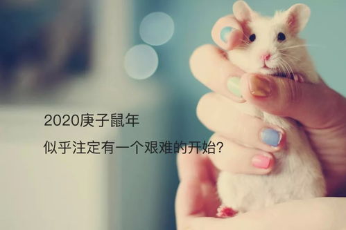 主人的主怎么组词