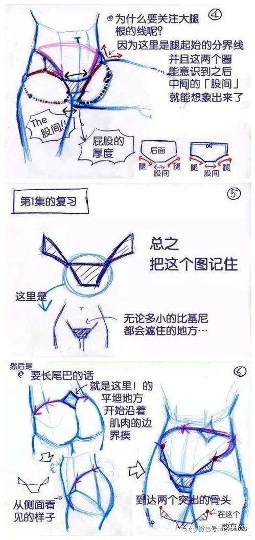 腰胯怎么组词