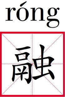 融的组词怎么