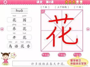 婴儿英语怎么组词