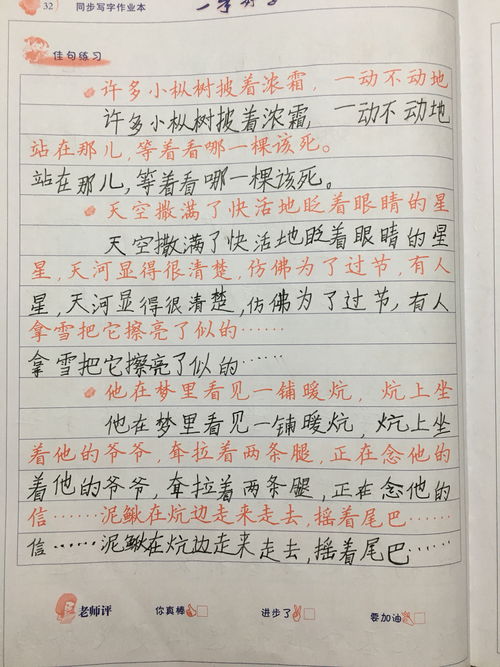 夏天的芬芳组词怎么写