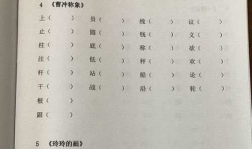 纰组词