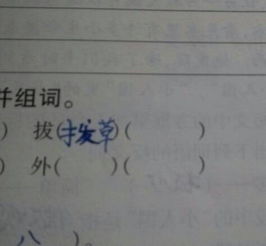 另可以怎么组词