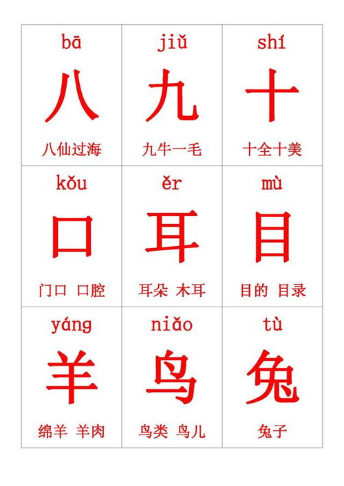 鸽字组词