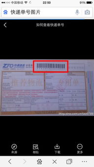 货物的货怎么写怎么组词