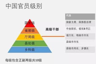 规怎么组词
