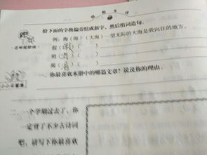 单据怎么组词造句