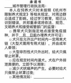 小度什么绳怎么组词
