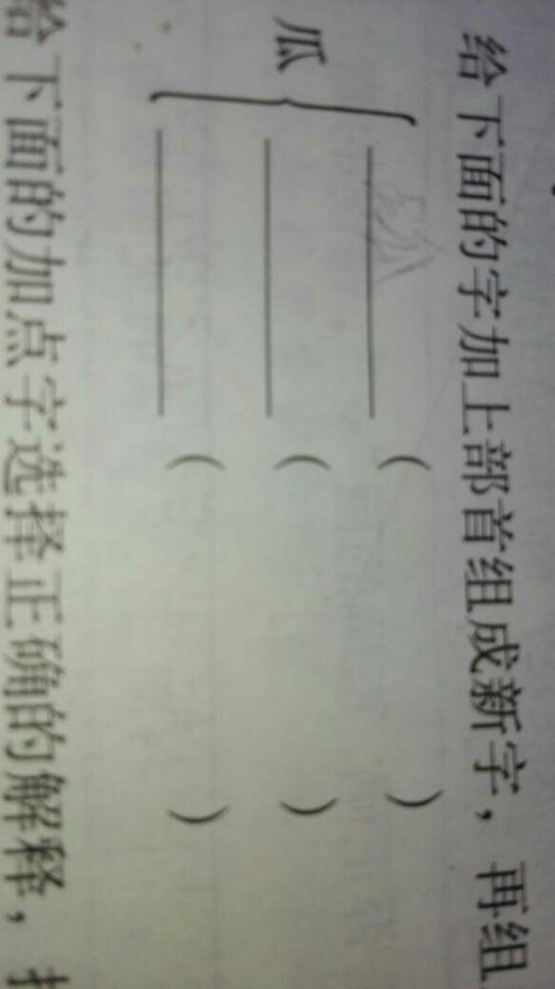 蔗组词怎么