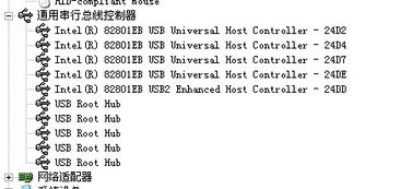 孔的组词怎么说