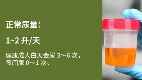 息的组词有哪些