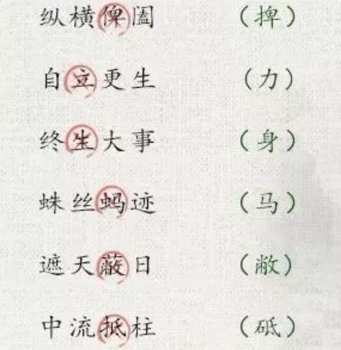 试组词怎么写