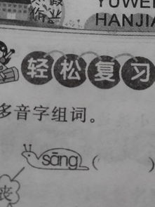 多音字丧怎么组词
