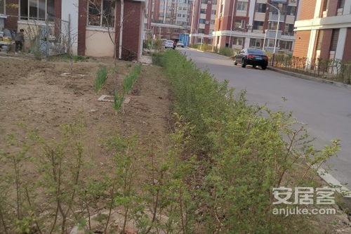 溪畔的畔怎么组词