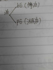 烂绞丝的泊怎么组词