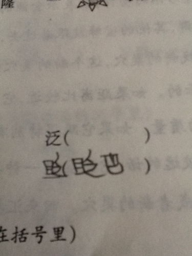 泛的组词