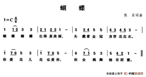蝴蝶怎么组词儿