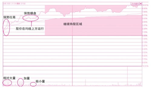 止和量怎么组词
