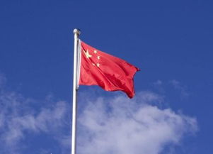 干活的杆怎么组词