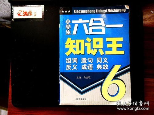 王组词怎么