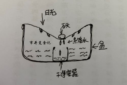 用干净的净怎么组词