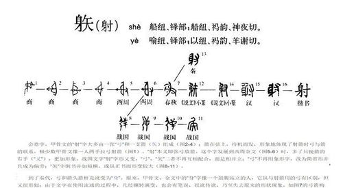 矮子的矮组词