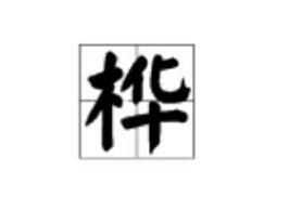 怎么组词桦