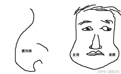 七月颧怎么组词