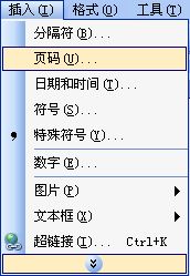 页数的页组词