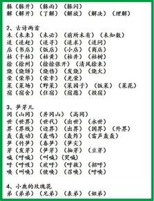 张字的组词