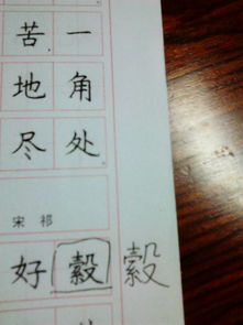 这个阳字怎么读怎么组词