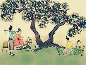 陂漪怎么组词