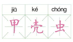 当然的当怎么组词
