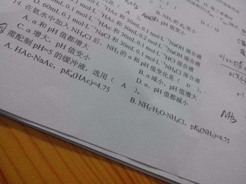 b栋的栋怎么组词