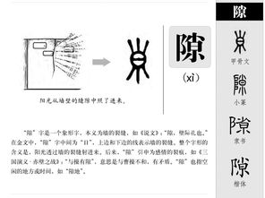 空隙的隙组词