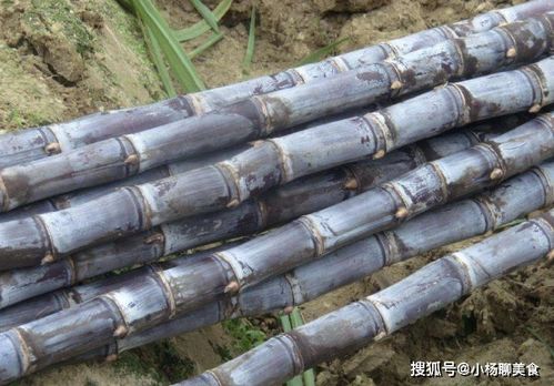 甘蔗甜的甜怎么组词