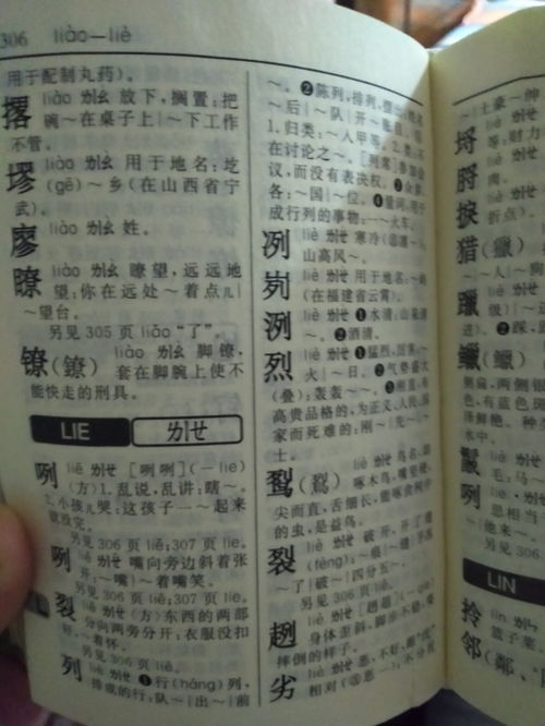 度第四声怎么组词
