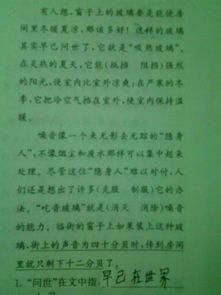 文怎么组词语