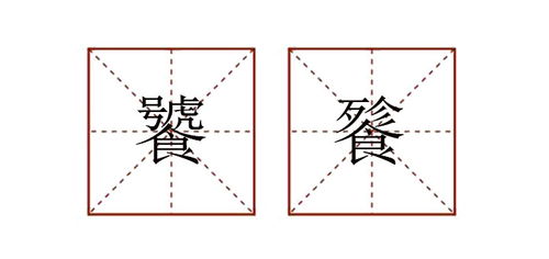 的伴怎么组词
