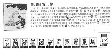 得了的折怎么组词