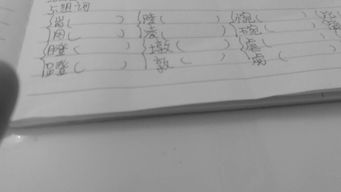 逊组词怎么写