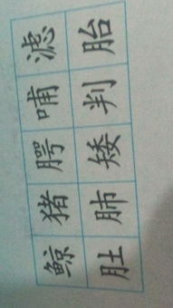 偈这个拼音怎么组词呀