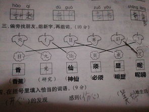 脸朋怎么组词