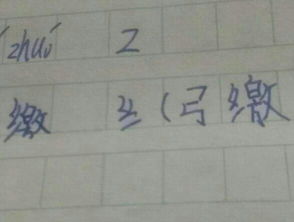 着zhuo怎么组词