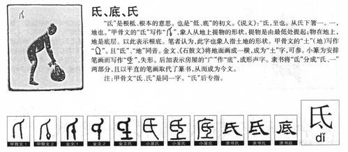 伏击的氐怎么组词