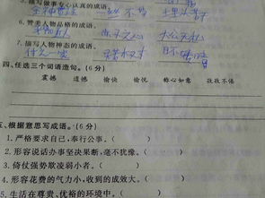 泊怎么组词语