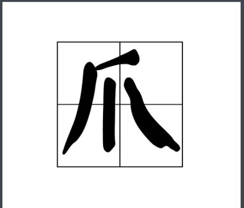 爪zhao怎么组词