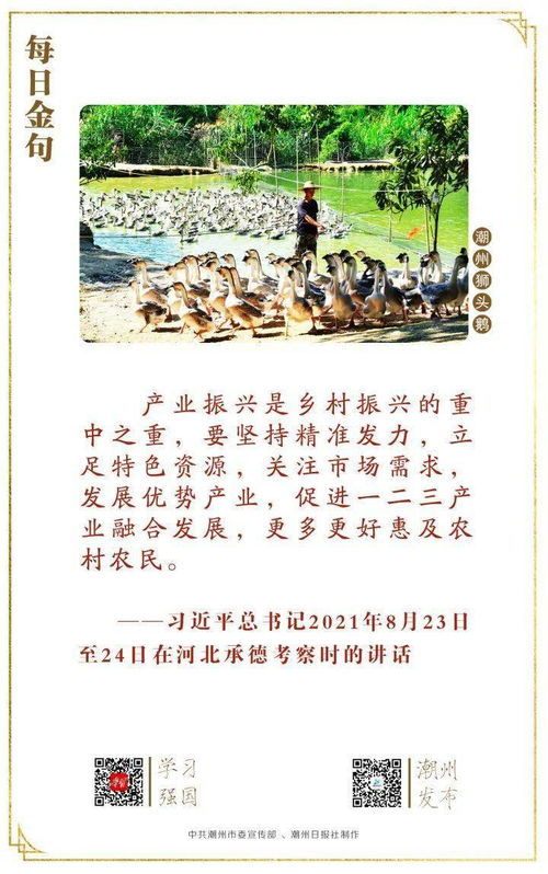 兴奋的兴该怎么组词