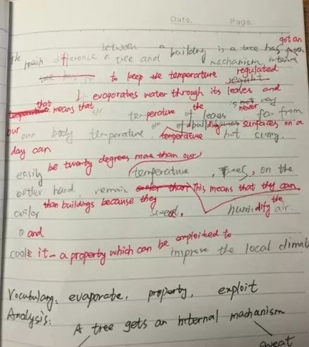 语速的速怎么组词