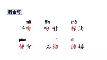 职位怎么组词
